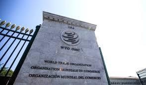 Chỉ số thương mại hàng hóa của Tổ chức Thương mại Thế giới (WTO) xuống thấp kỷ lục kể từ năm 2016 2 bt2605