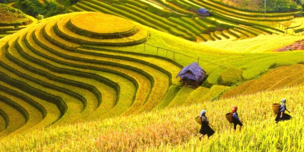 ngành du lịch hậu Covid-19