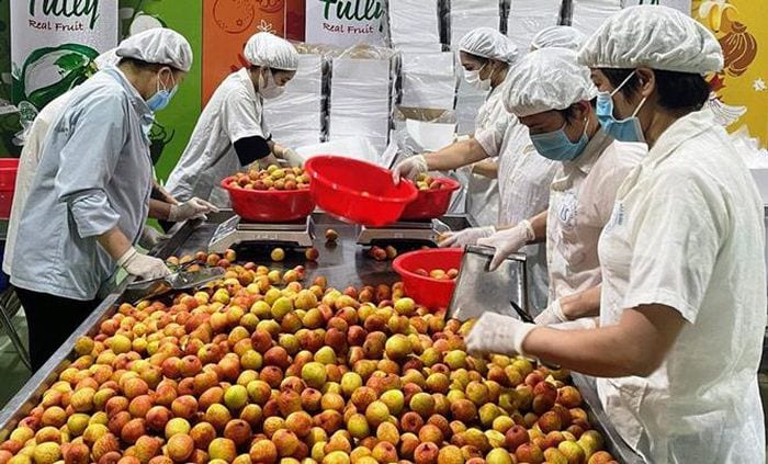 262 doanh nghiệp vào vòng sơ tuyển doanh nghiệp xuất khẩu uy tín 2 doanhnghiep