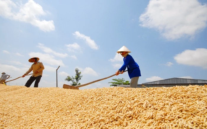 z3861899077617ed70f19e29a9b733420f78381e773049 2 1683442178020916773729 0 0 1250 2000 crop 1689923274668850496460.jpg