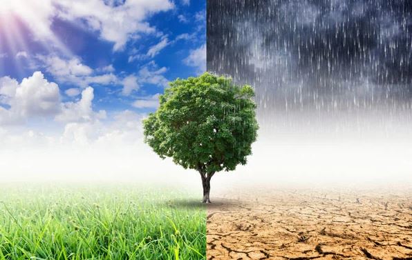 tac dong cua bien doi khi hau den nen kinh te the nao 03 .4458