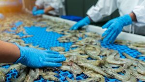 68c9ed255434580b50c75973 tom high