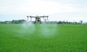 cd6ce45252c14de19013e53a5036600b 11490